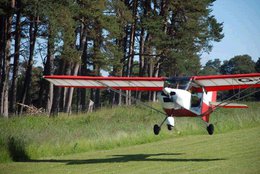 2009-img-f6.jpg