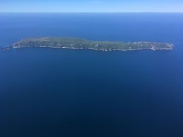 IMG_6532.JPG