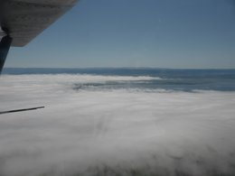 P1030377