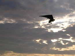 fly-old_0007.jpg